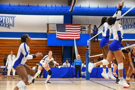 volleyball