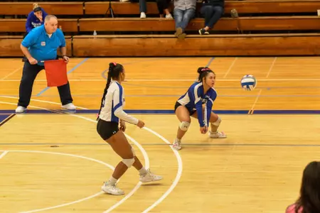 team vb