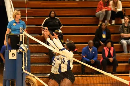 Volleyball