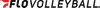 TV Logo
