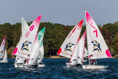 Sail