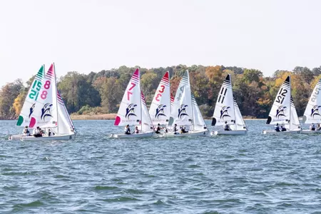 Sail