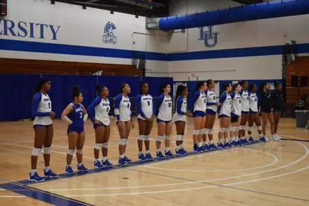 Volleyball