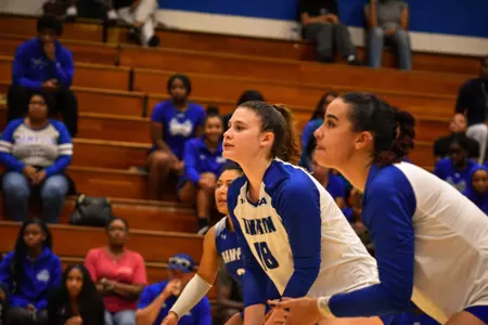 Volleyball