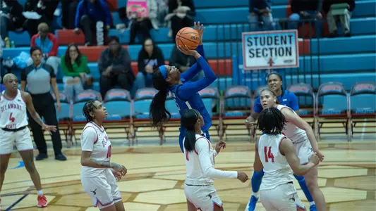 WBB-Del State Recap - Dublin