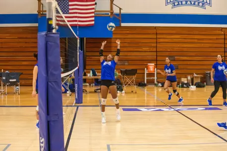 WVB