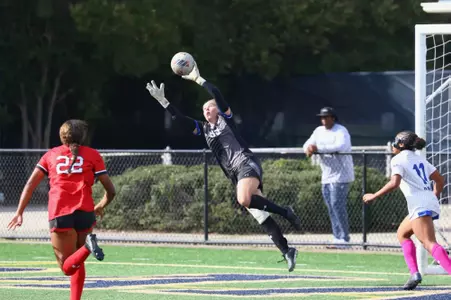 WSOC-John-Northeastern