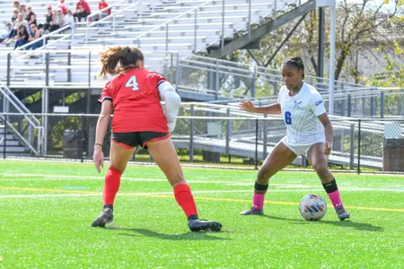 WSOC-Northeastern-Sutton
