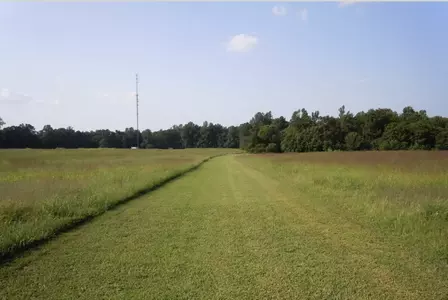 Pole Green Park - Cross Country