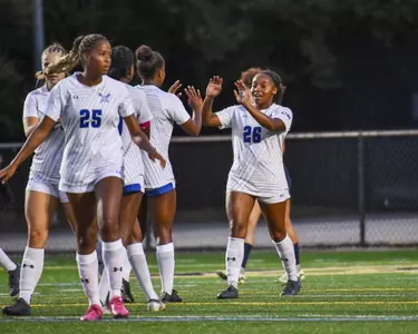 WSOC-Group