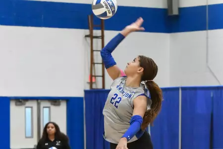 VB BLUE HEN