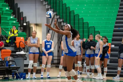vb-famu