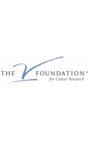The charity chosen is the V Foundation for Cancer Research