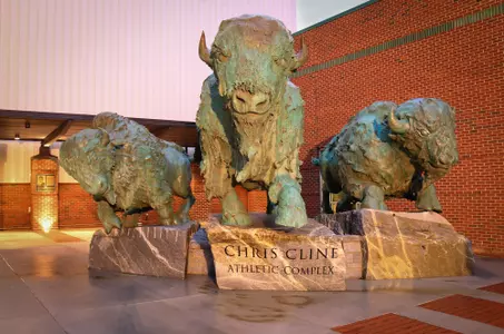 Bison Statues