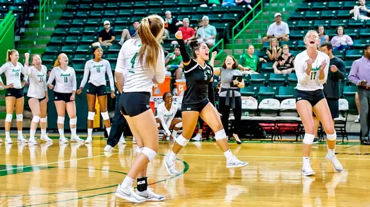 Volleyball celebrate