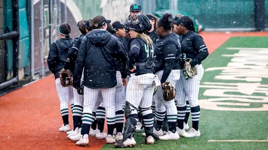 2019 Marshall Softball