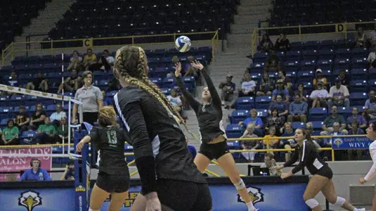 2019 Marshall Volleyball