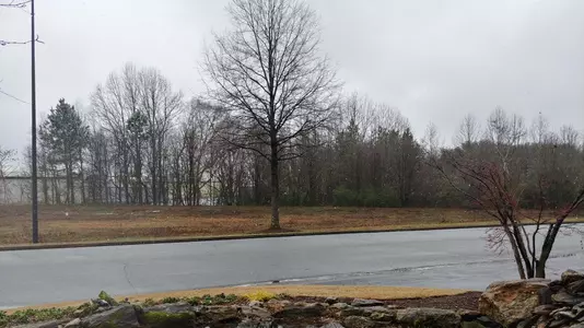 2020 Marshall Softball