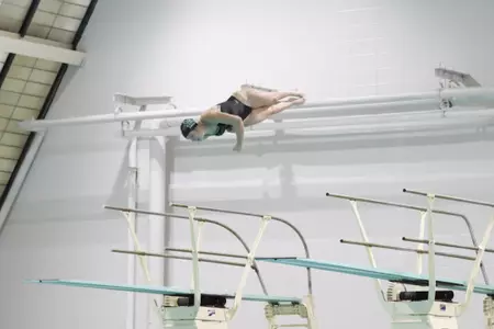 Alaina Laster