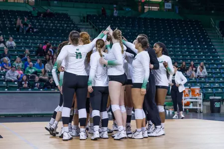 VB Team