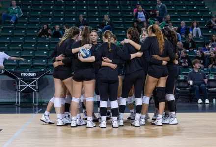 VB Team