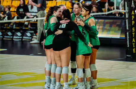 VB Team