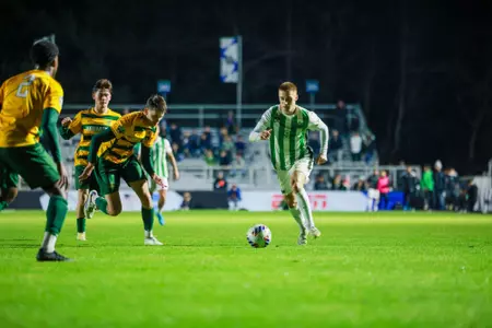 Tarik Pannholzer