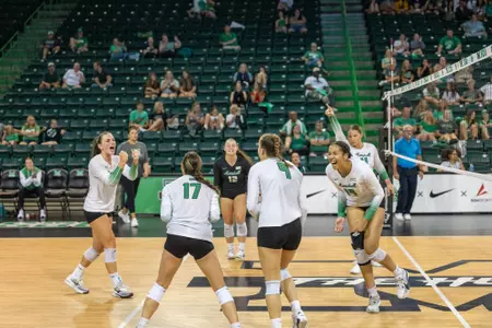 VB Team