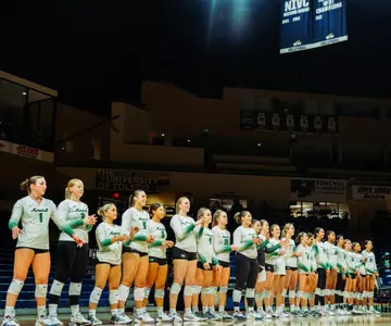 VB Team