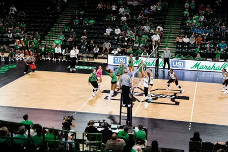 Herd Volleyball