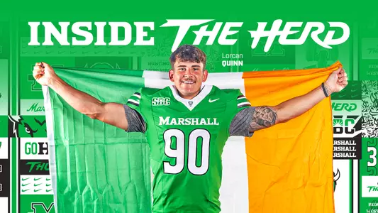 Inside The Herd - Lorcan Quinn