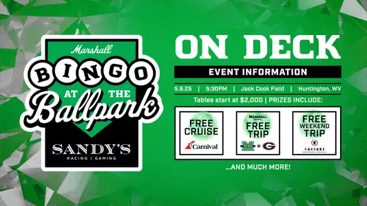 Bingo At The Ballpark