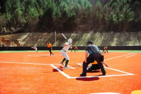 Chandler Hoskins App