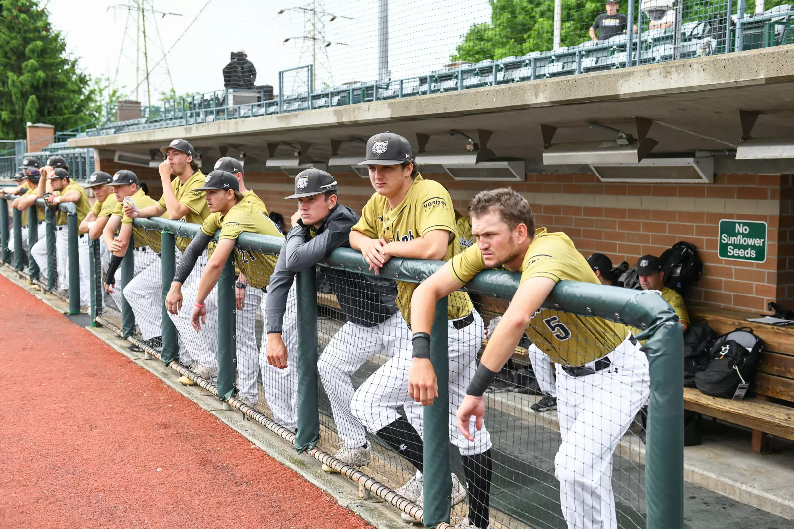 2022 Horizon League Baseball Championship