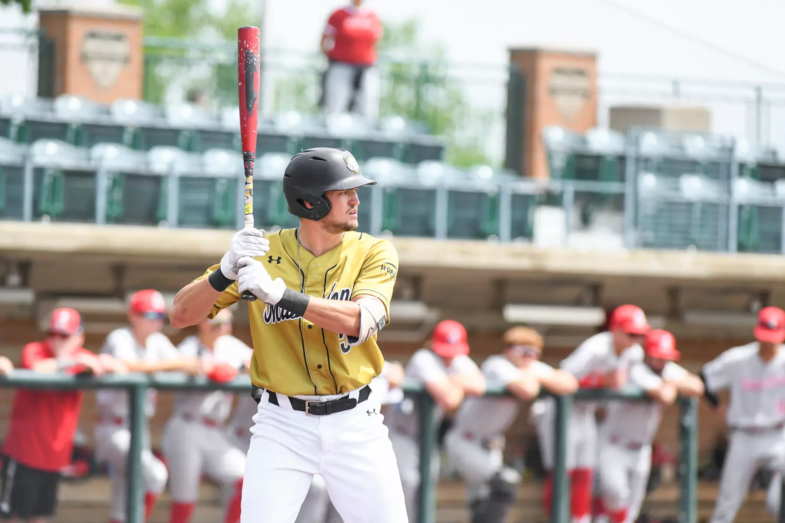 2022 Horizon League Baseball Championship