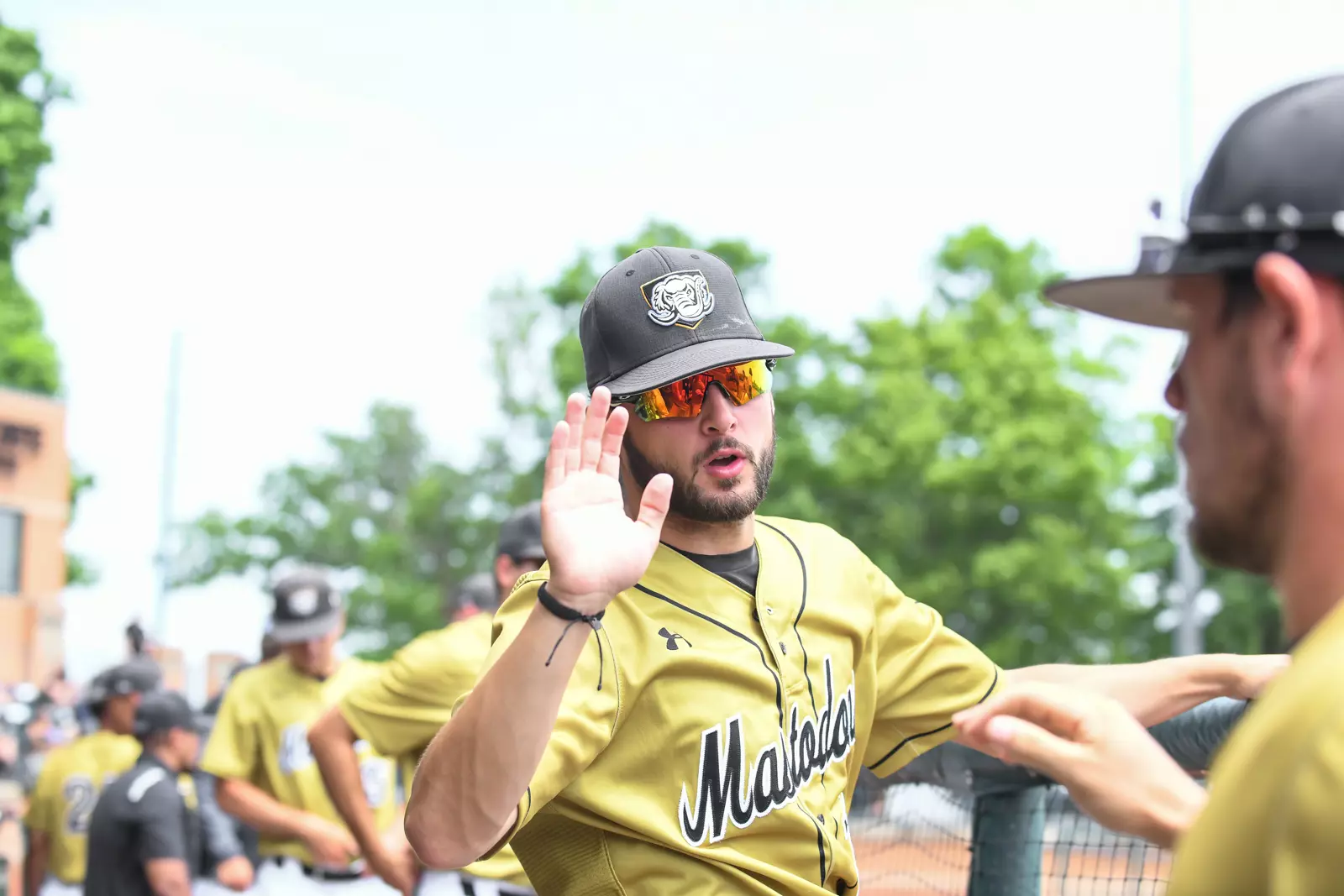 2022 Horizon League Baseball Championship