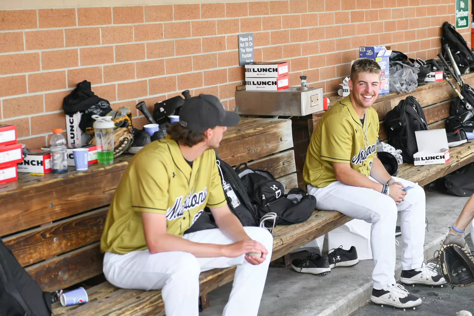 2022 Horizon League Baseball Championship
