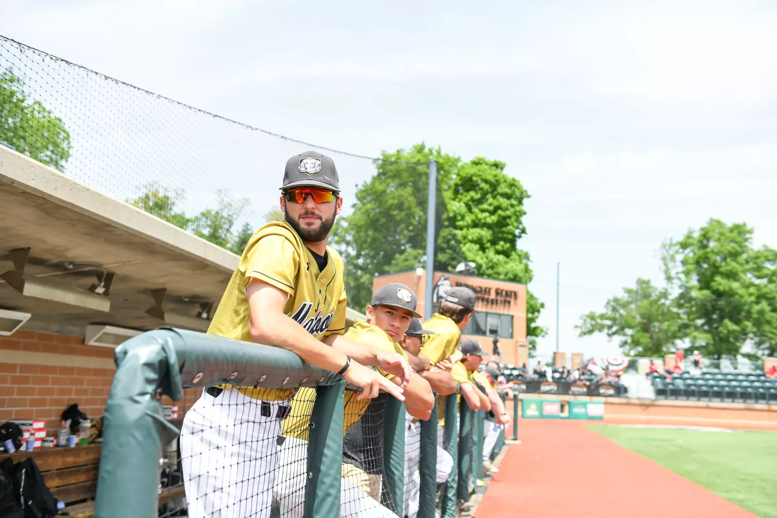 2022 Horizon League Baseball Championship