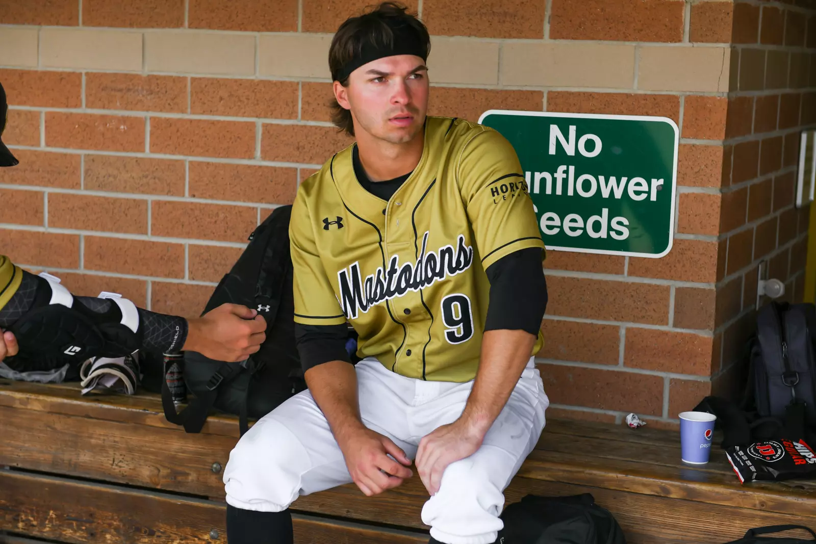 2022 Horizon League Baseball Championship