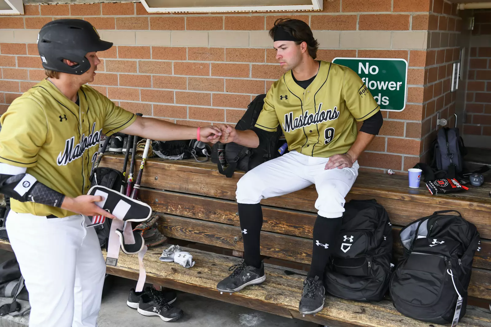 2022 Horizon League Baseball Championship