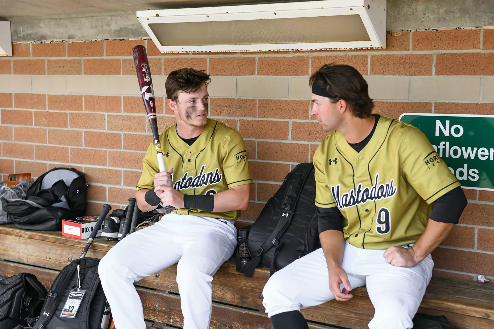 2022 Horizon League Baseball Championship