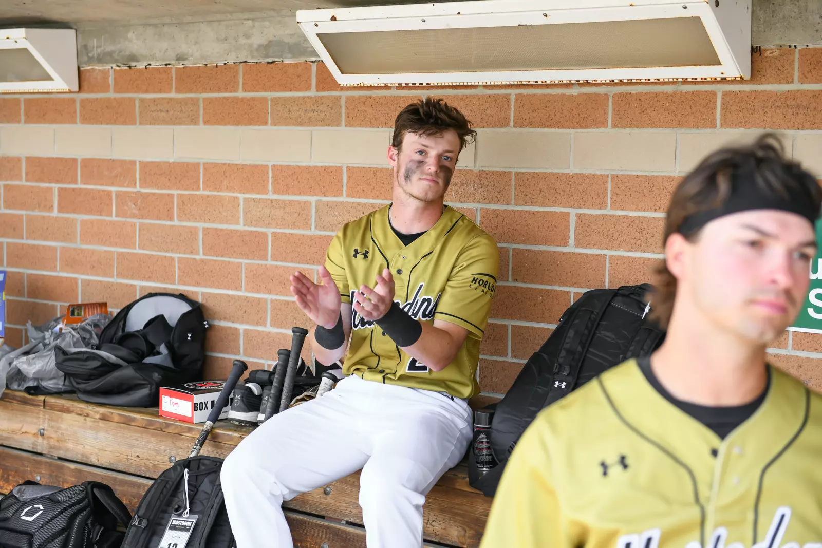 2022 Horizon League Baseball Championship