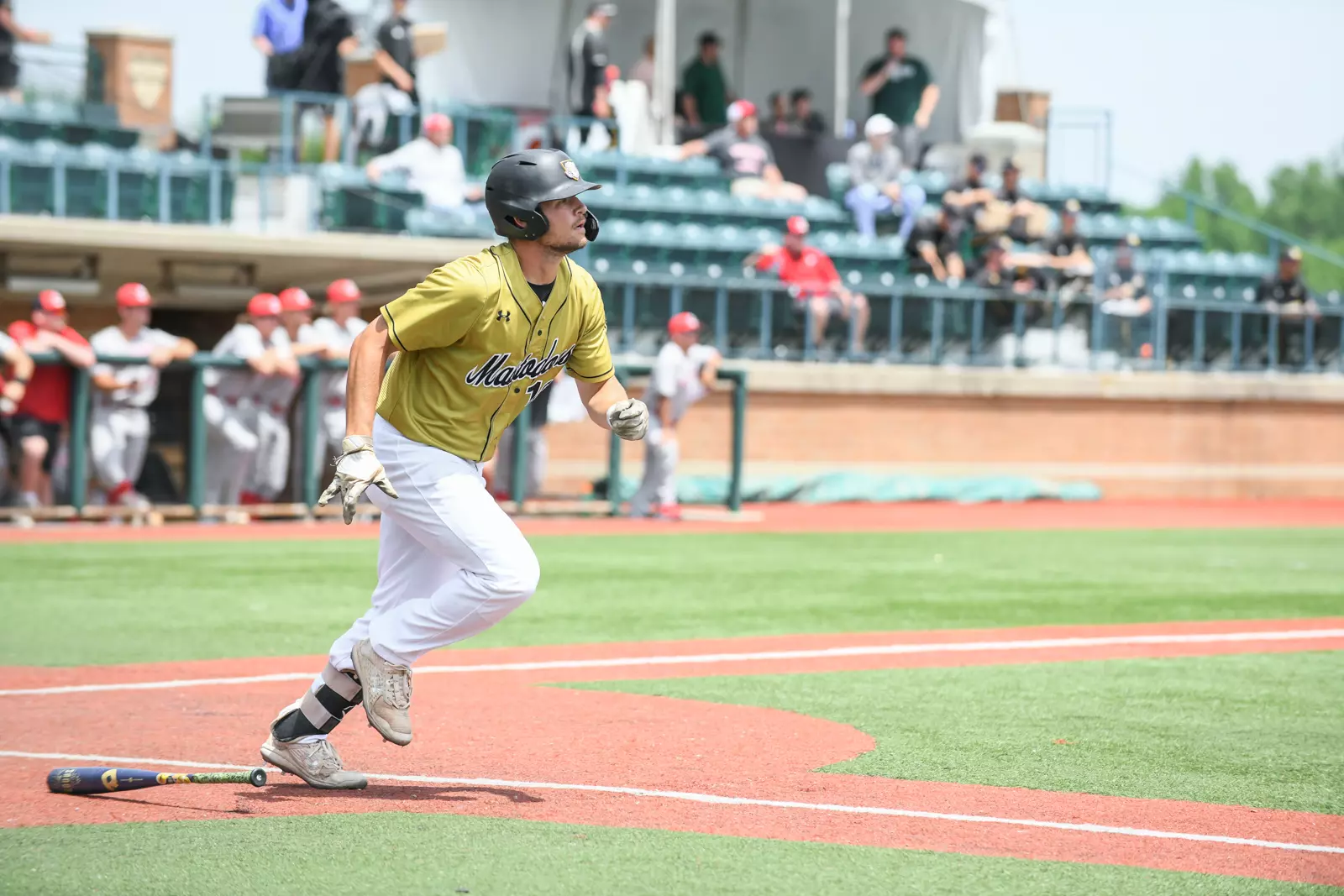 2022 Horizon League Baseball Championship