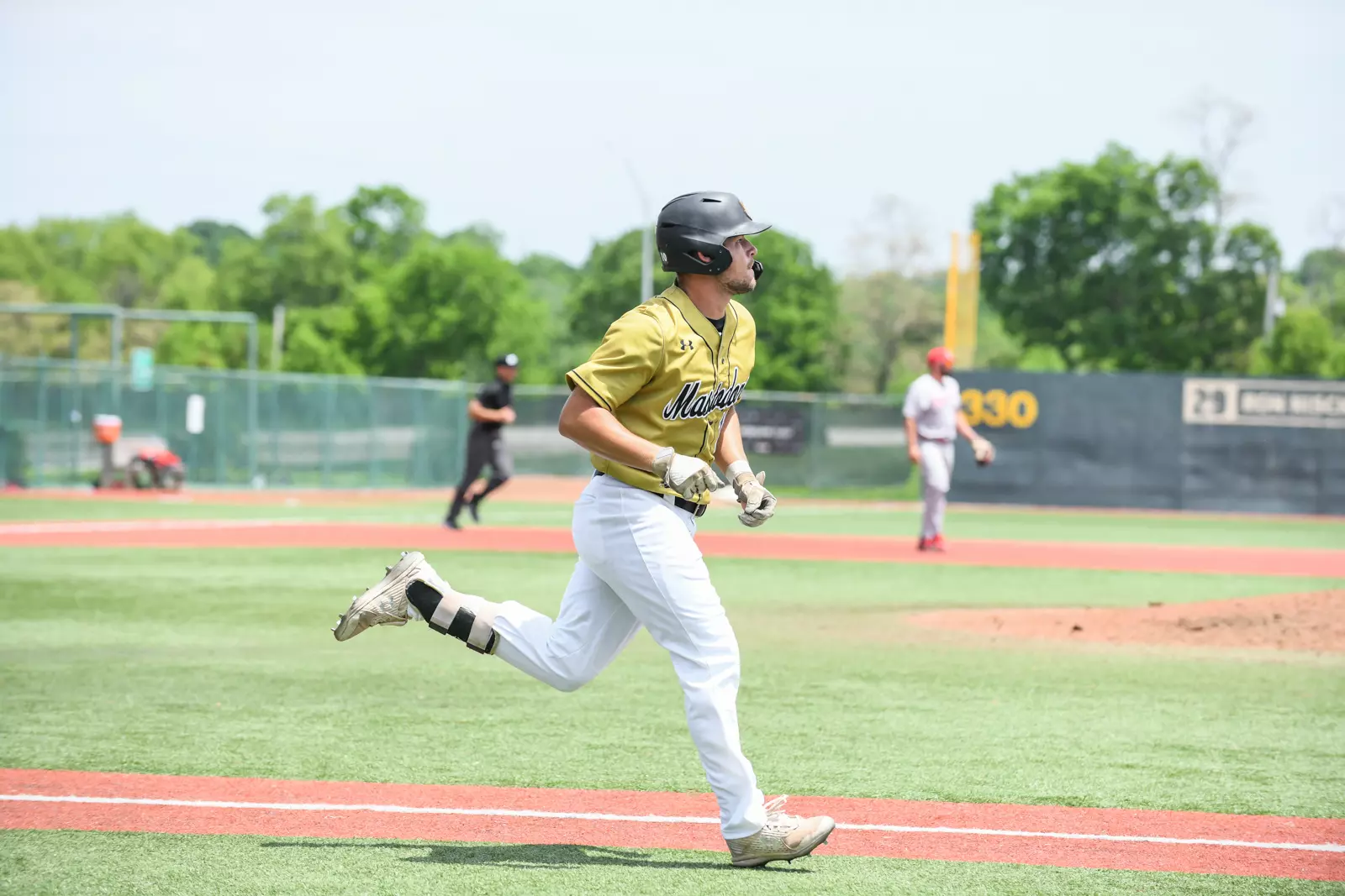 2022 Horizon League Baseball Championship