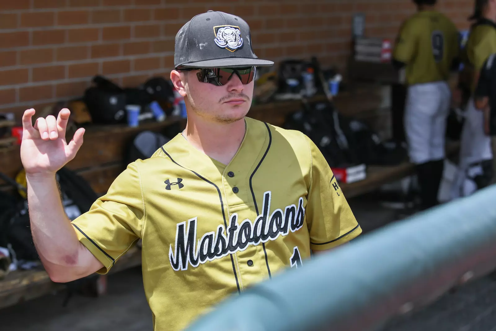 2022 Horizon League Baseball Championship