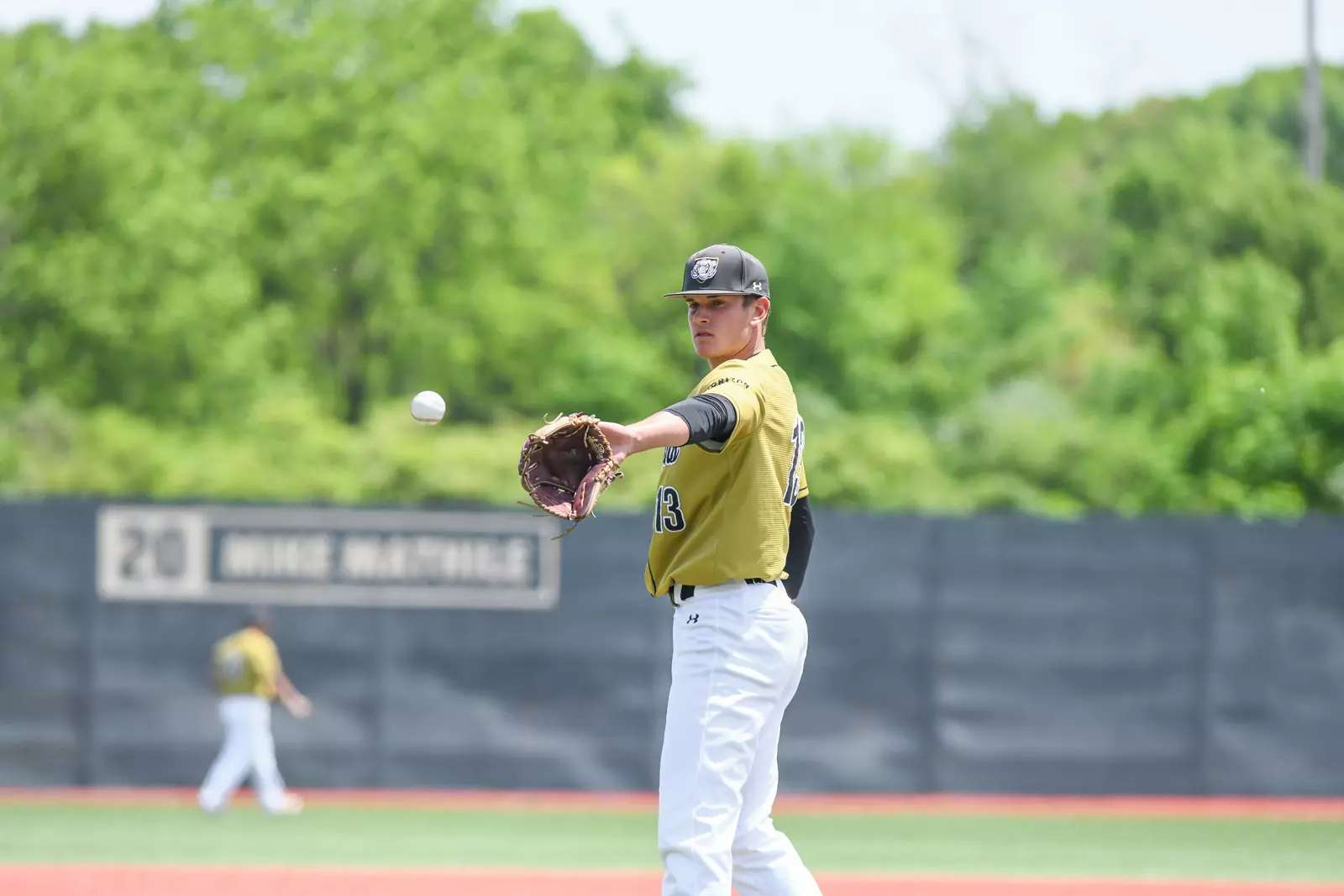 2022 Horizon League Baseball Championship