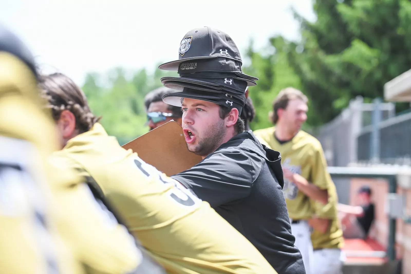 2022 Horizon League Baseball Championship