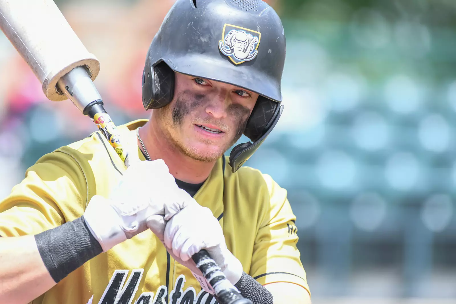 2022 Horizon League Baseball Championship