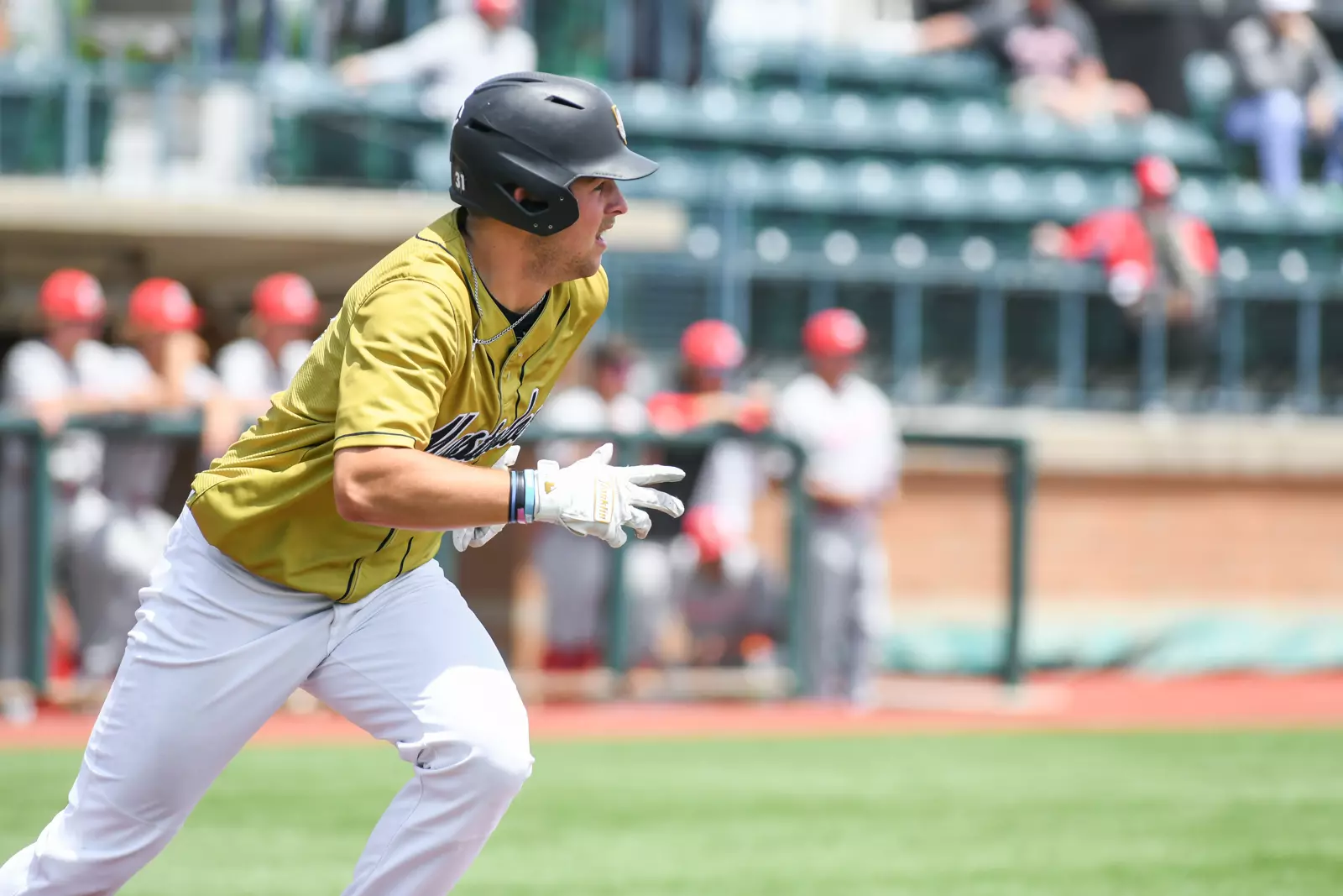 2022 Horizon League Baseball Championship