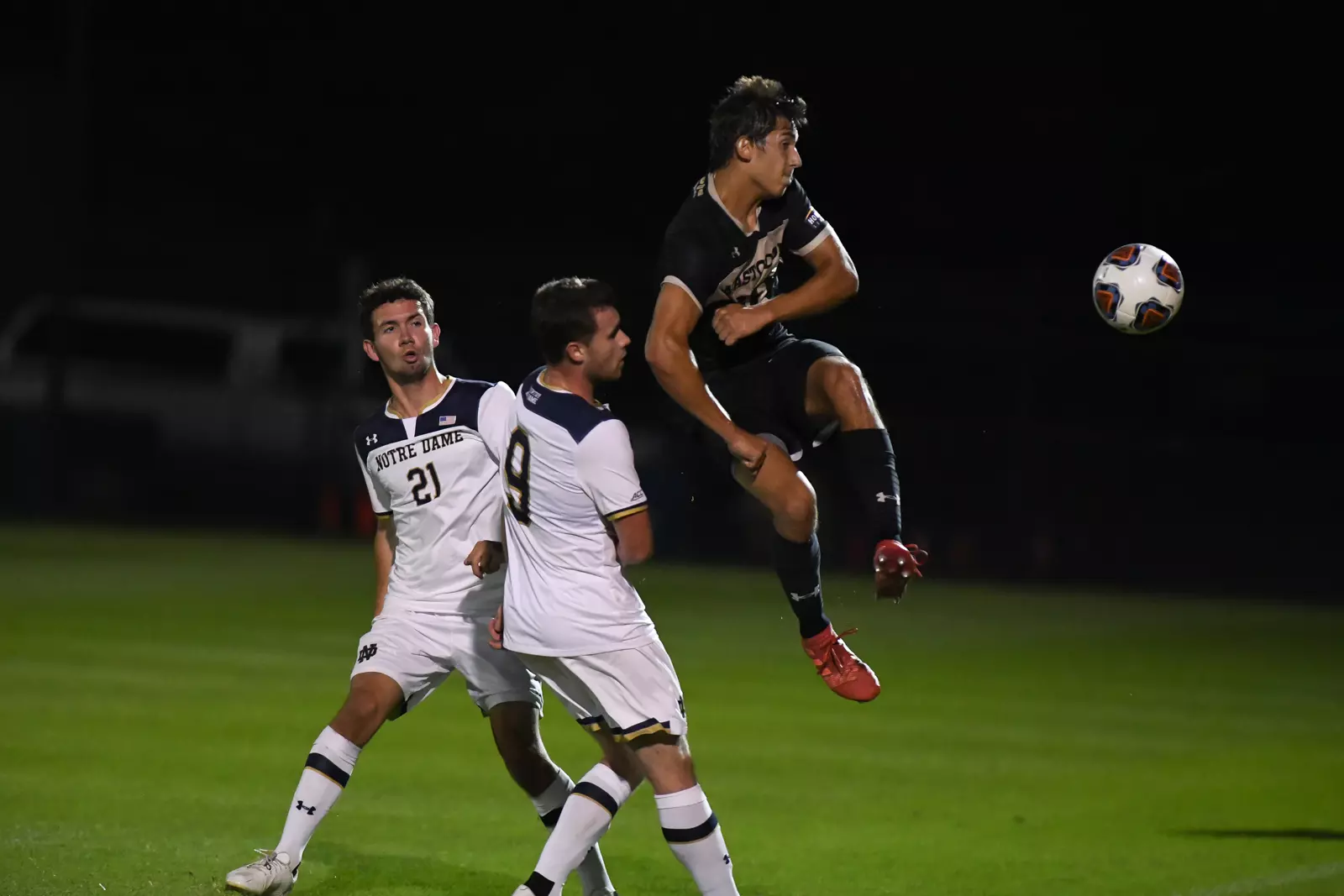 Mastodons at Notre Dame